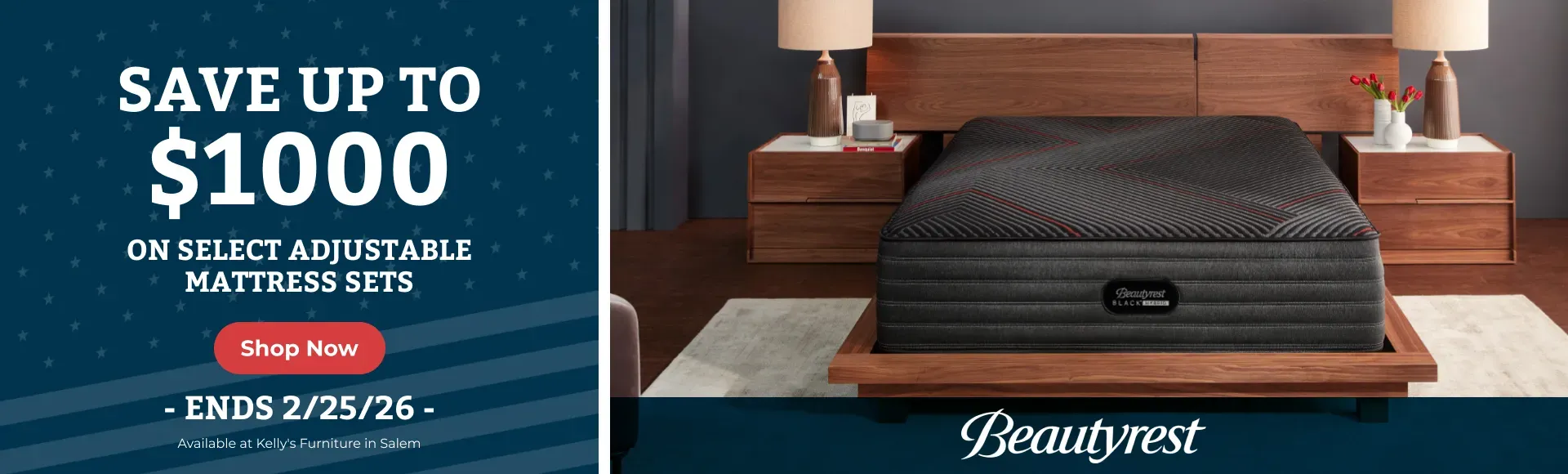 President's Day Sale BR